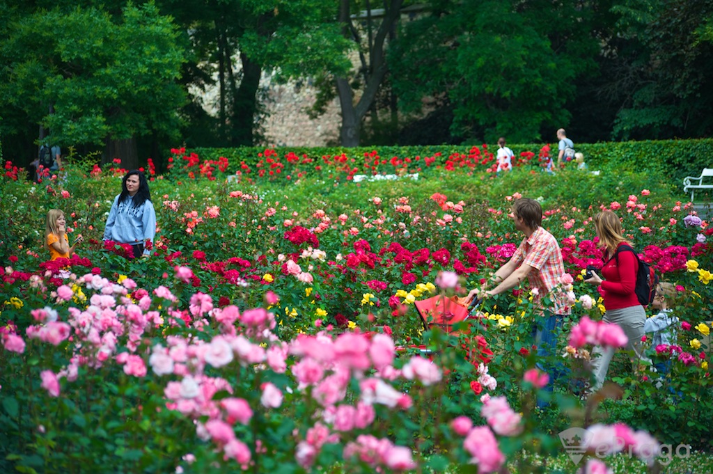 ����������� ���� � ����������� ��������� �����