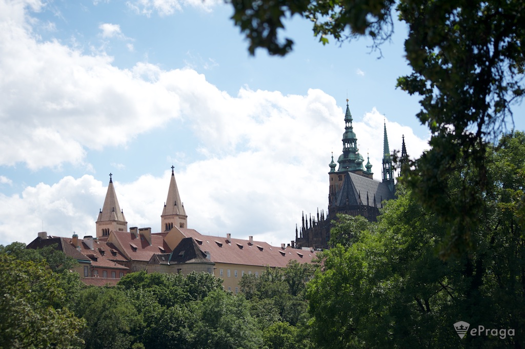 ����� ������� ����