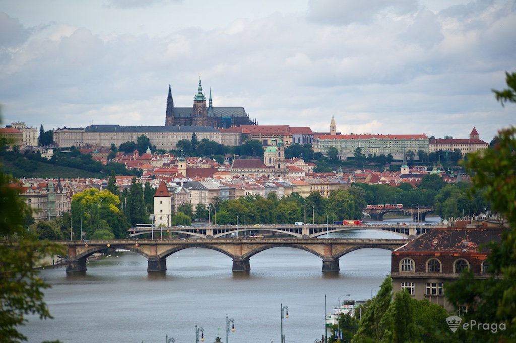 ����� ������� ����