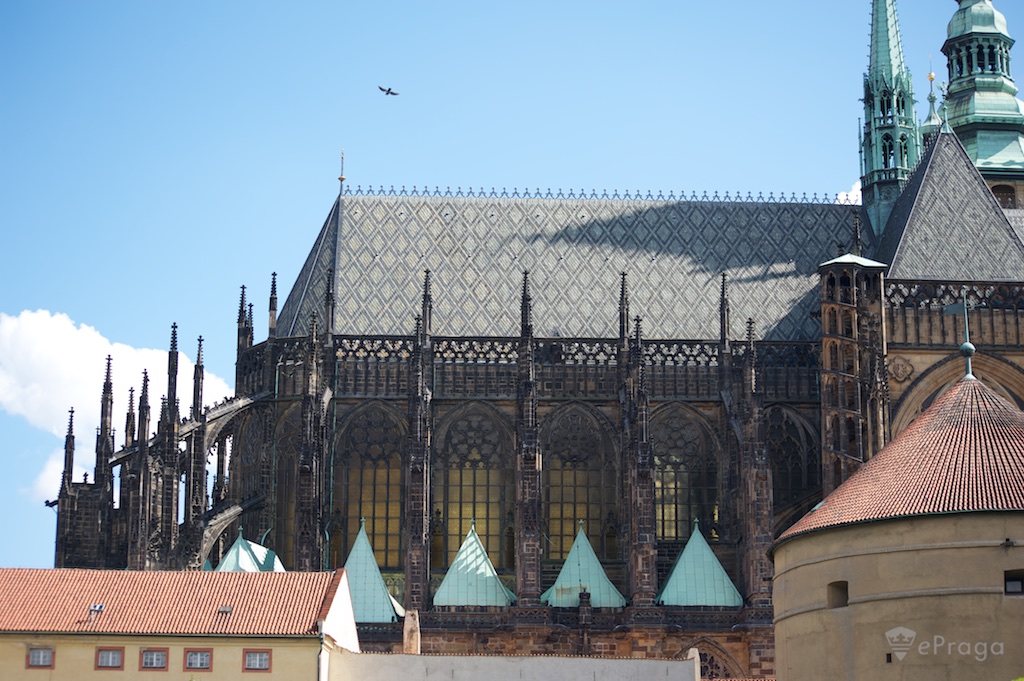 ����� ������� ����