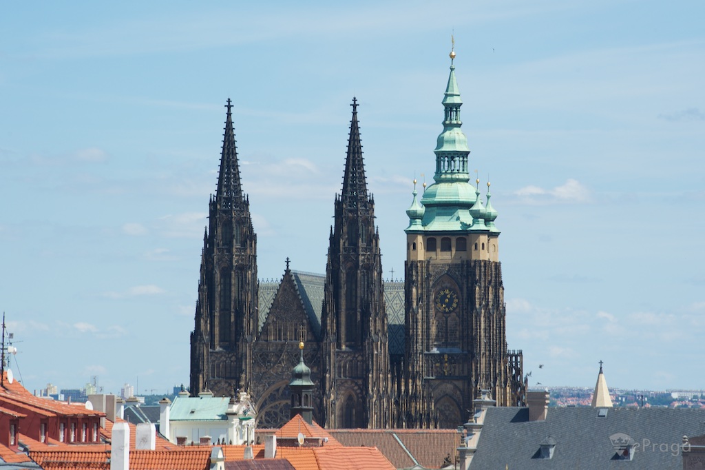 ����� ������� ����