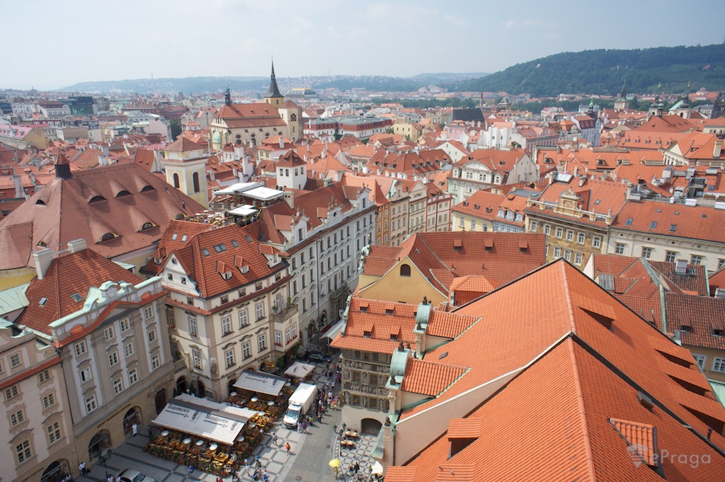 ������������� �������