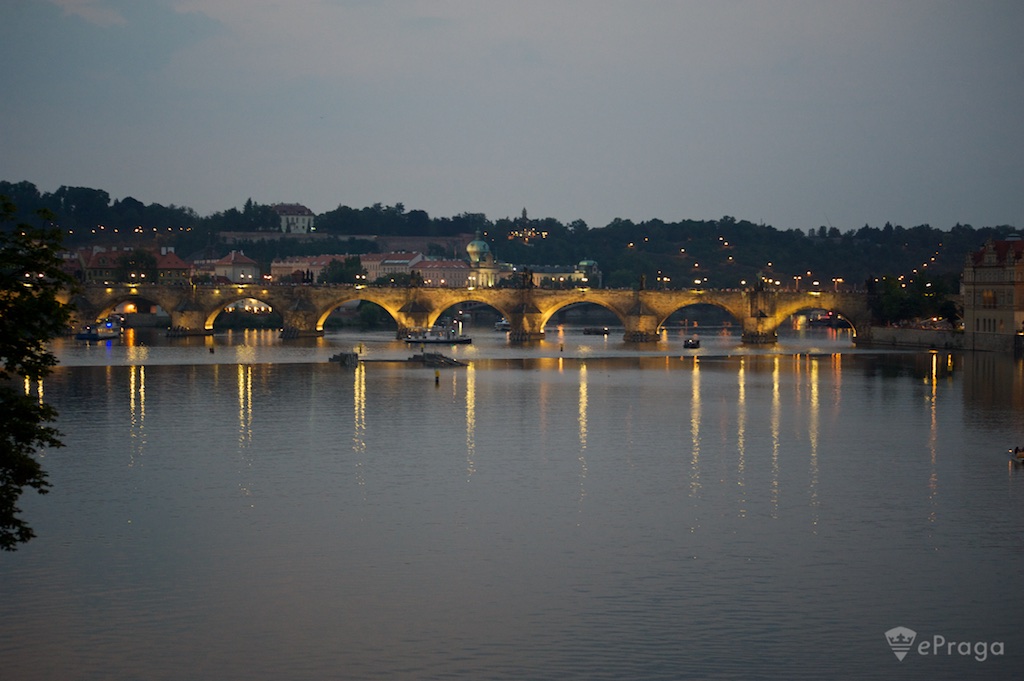 ������ ����