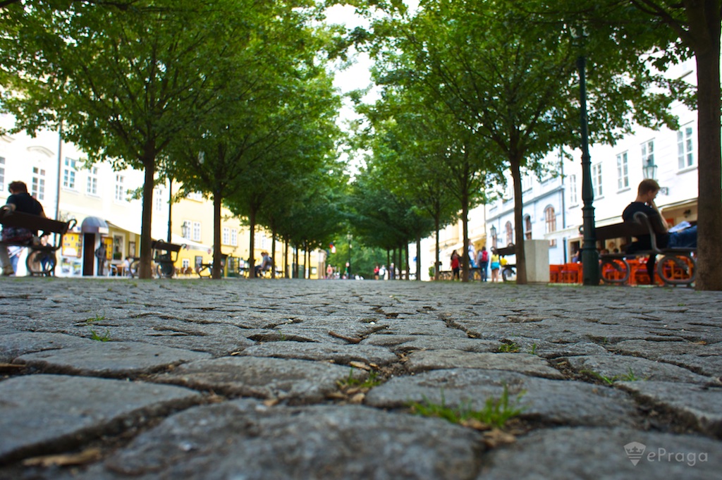 ������ ����� (Kampa)